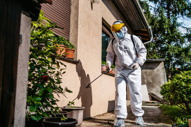 Best Pest Inspection Near Me  in West Odessa, TX