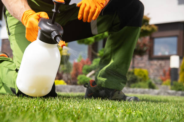Best Affordable Pest Control Services  in West Odessa, TX