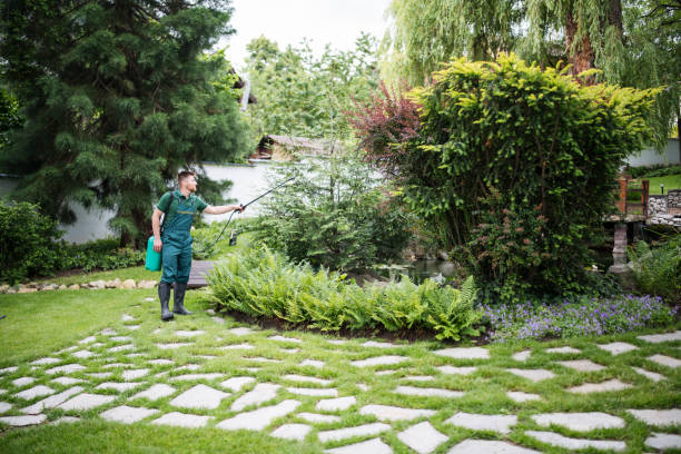 Best Pest Control Cost  in West Odessa, TX