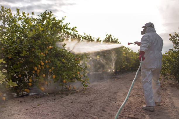 Wildlife Control Services in West Odessa, TX
