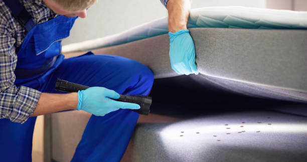 Professional Pest Control in West Odessa, TX